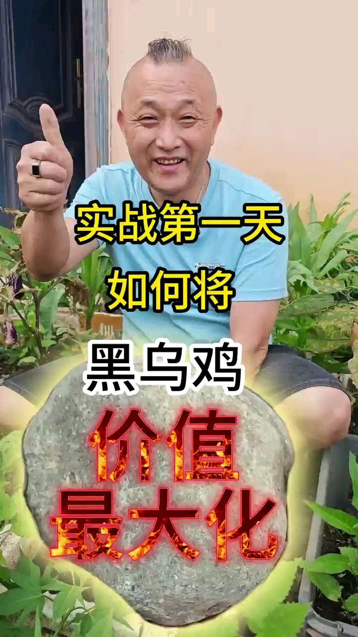 挑战开翡翠原石的第一天-莫西沙黑乌鸡#翡翠 #真实 #实战 