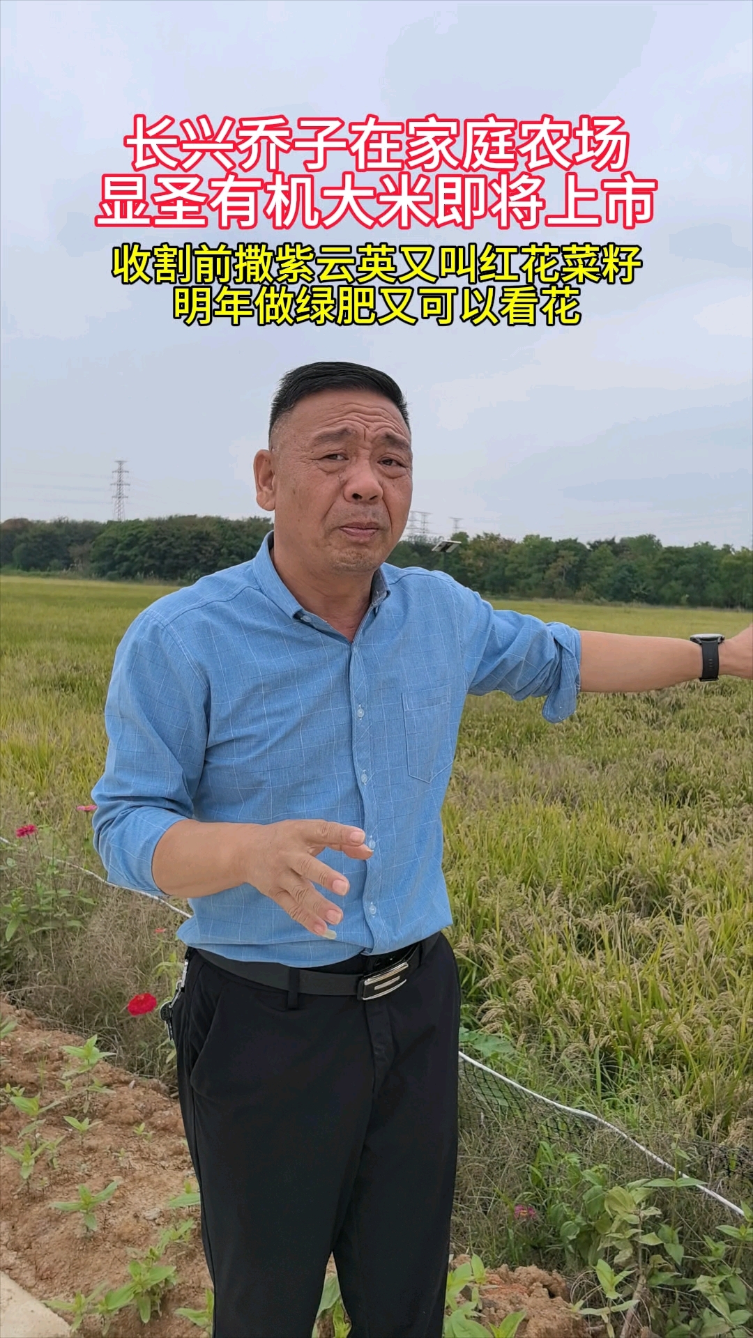 种大米我们认真的