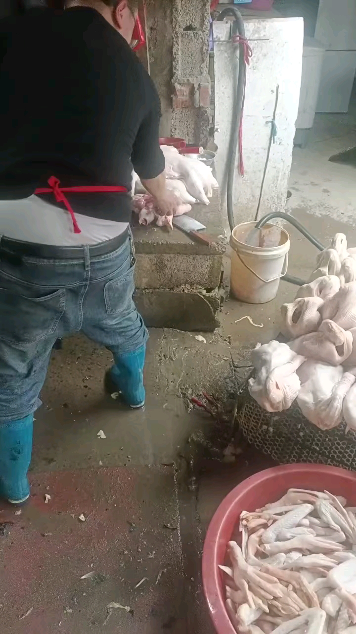 淮南市寿县王记老鹅馆,食材新鲜的不要不要的