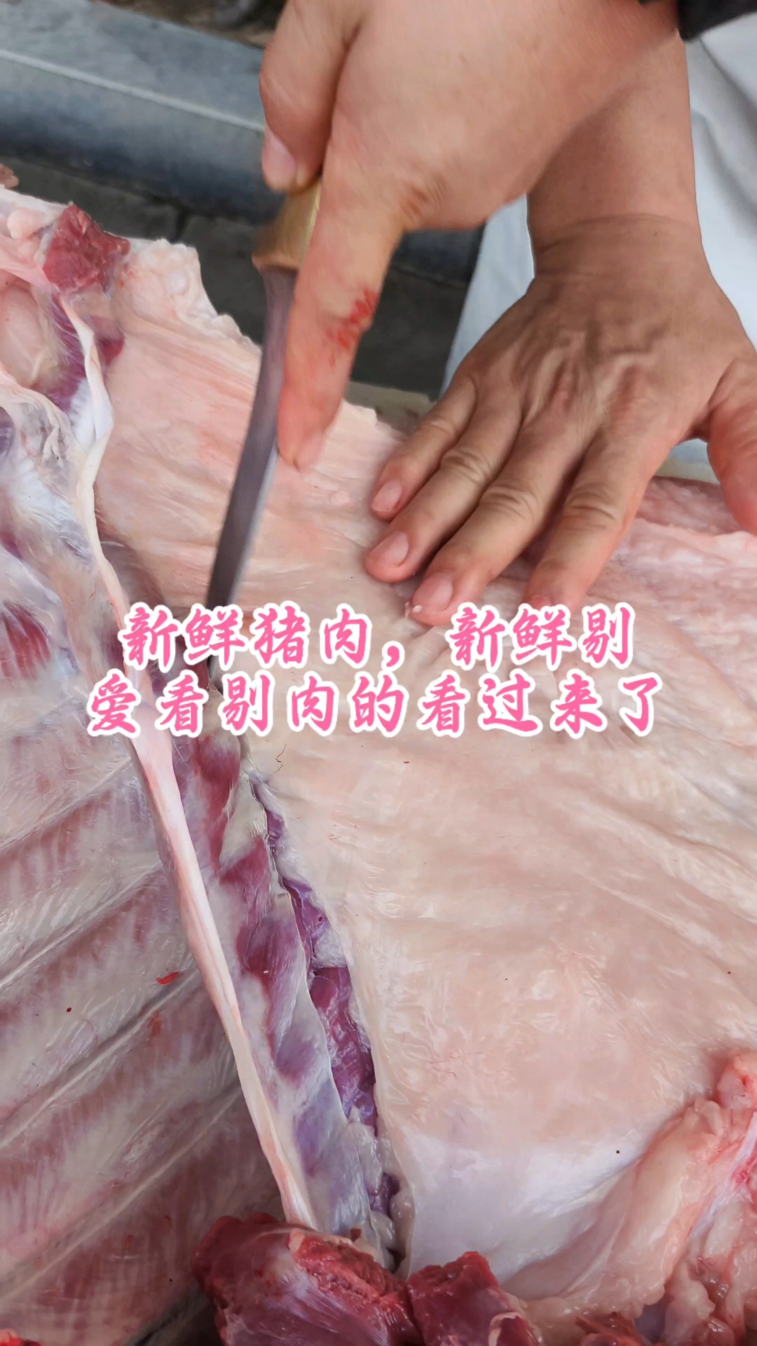新鲜猪肉，新鲜剔，喜欢剔肉的看过来了