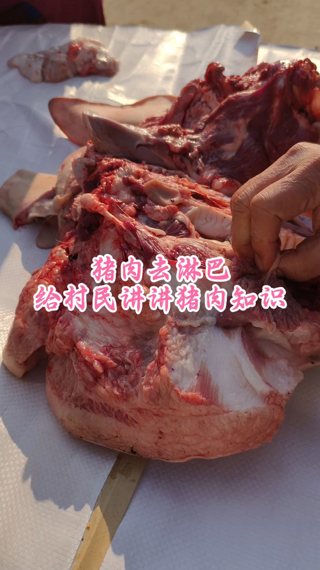 猪头去淋巴，给村民讲讲猪肉知识