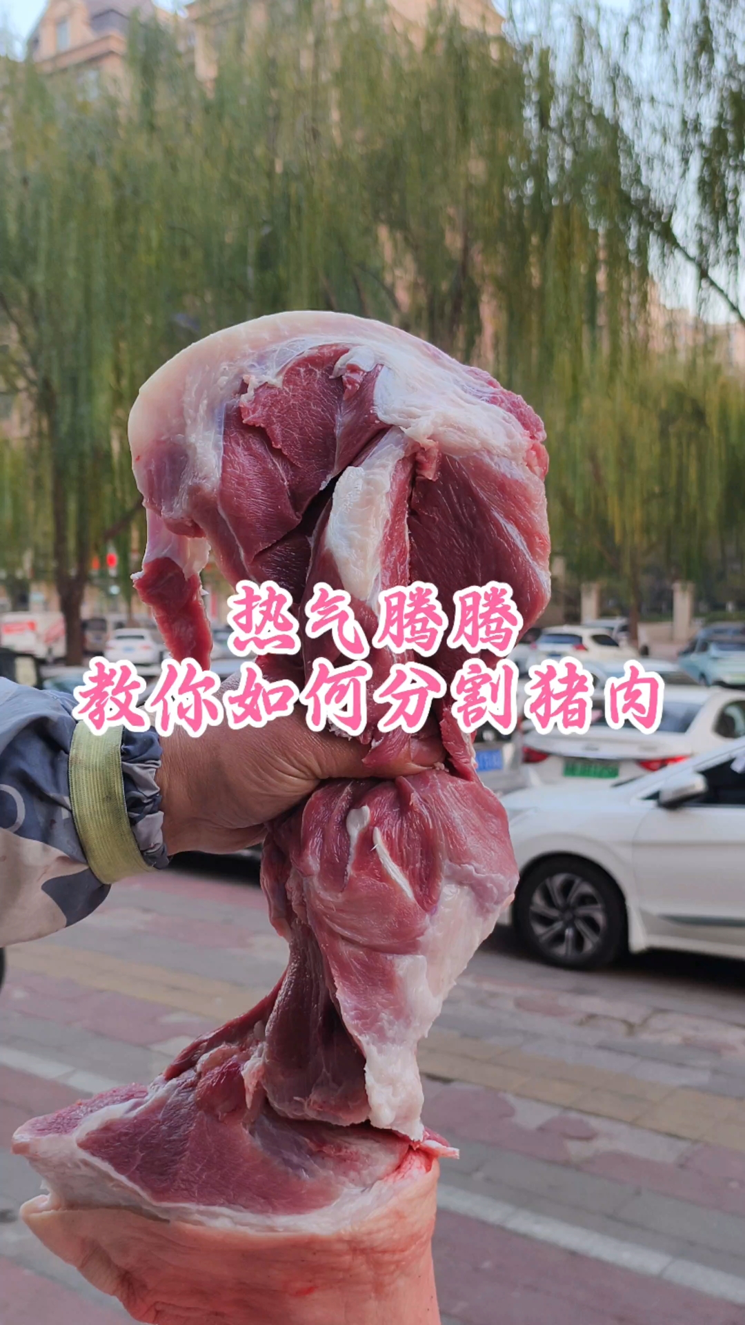 热气腾腾，教你如何分割猪肉