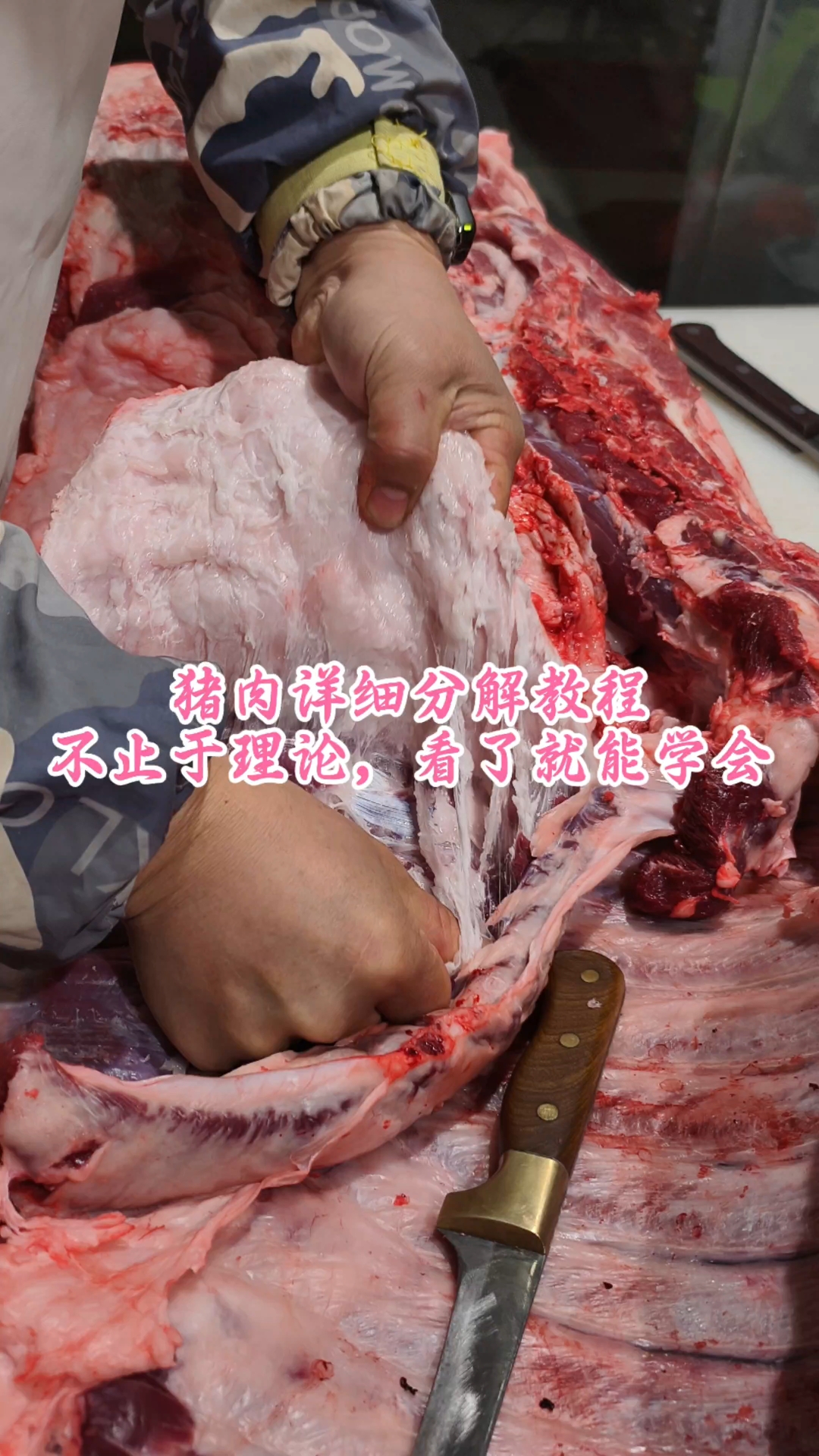 猪肉详细分解教程,不止于理论,看了就能学会