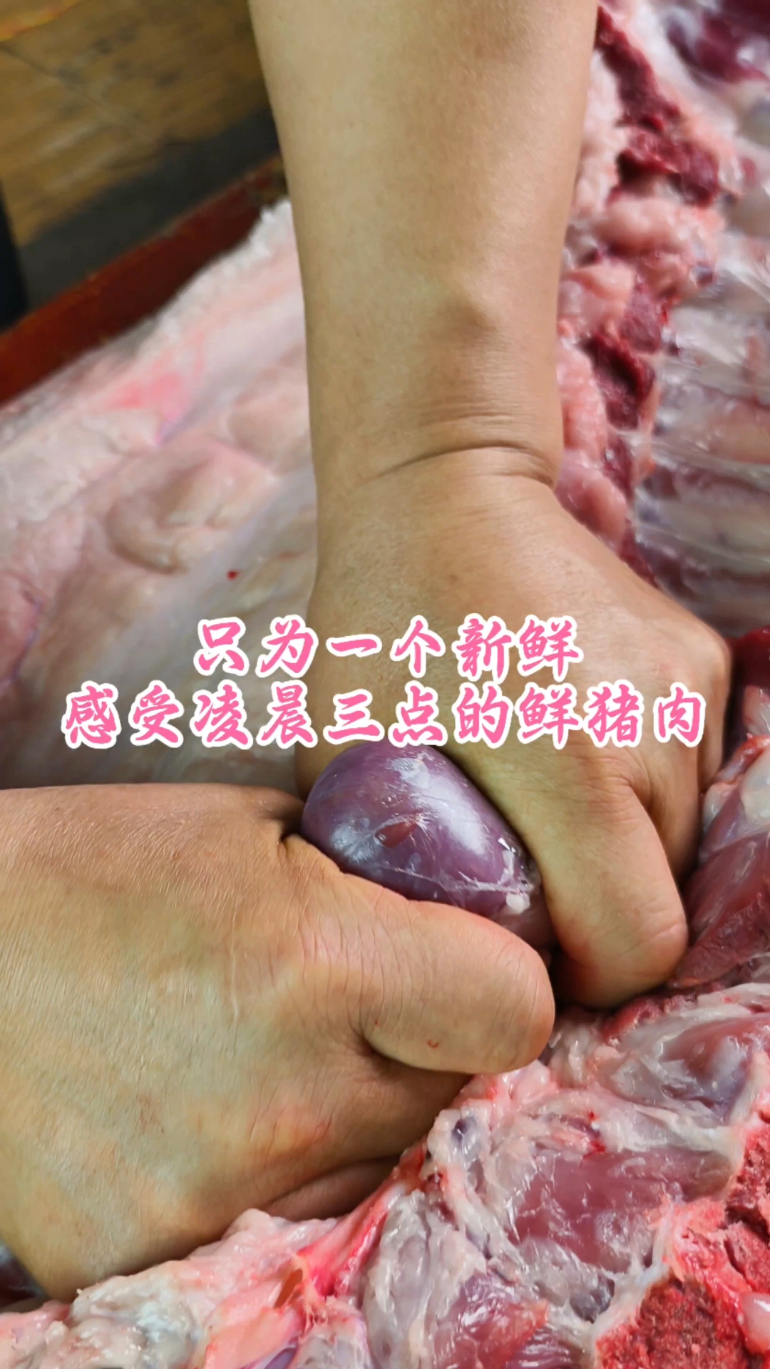 只为一个新鲜,感受凌晨三点的鲜猪肉