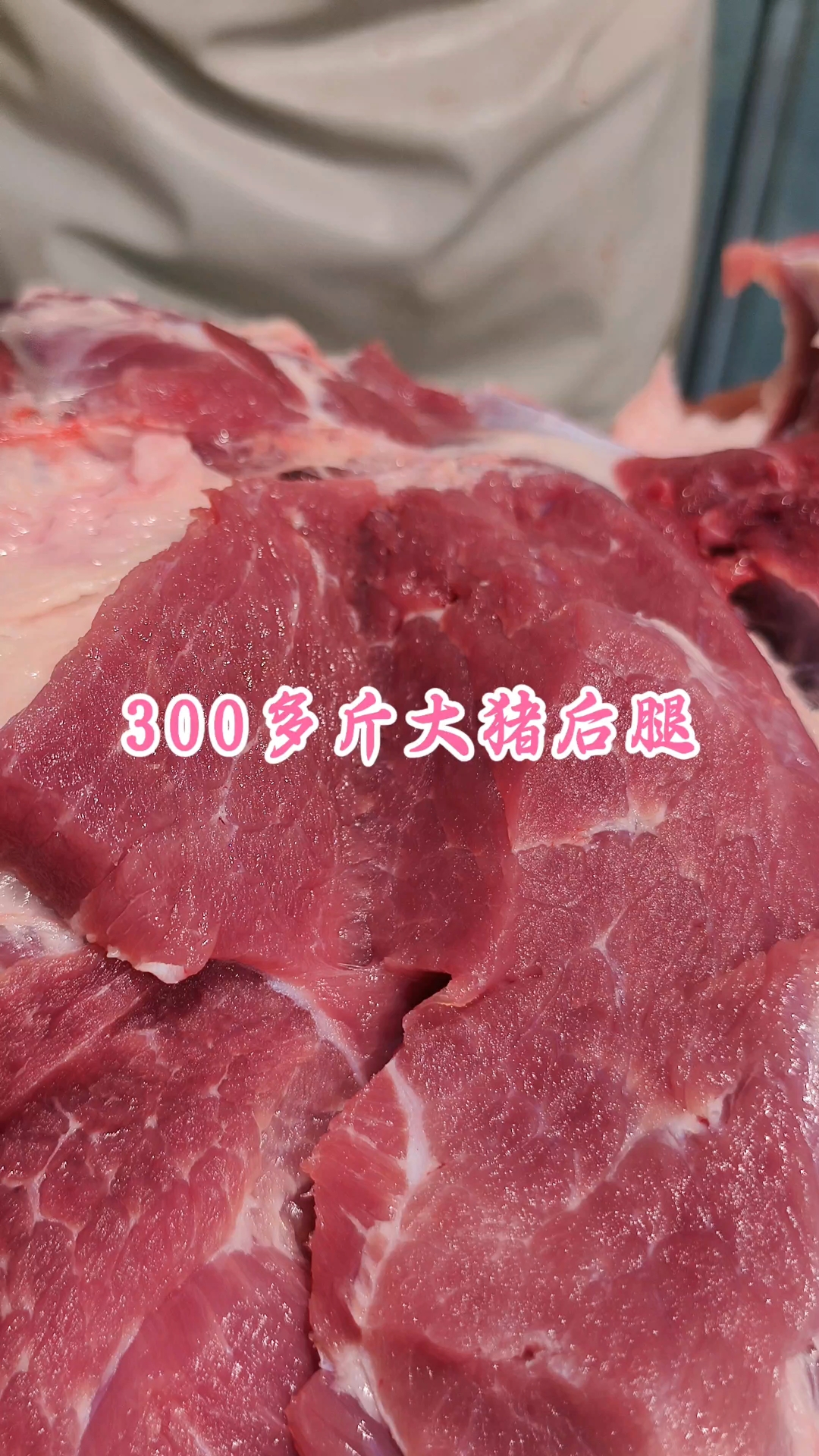 300多斤大猪后腿