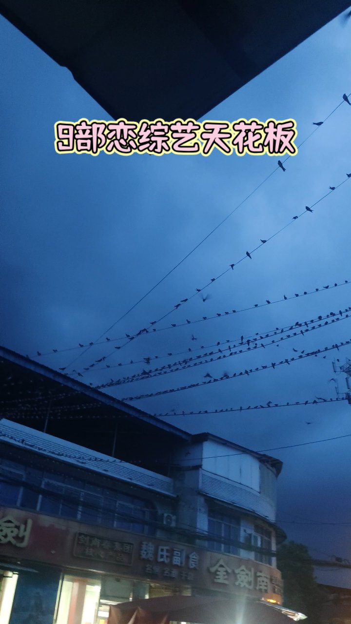 燕子回家了