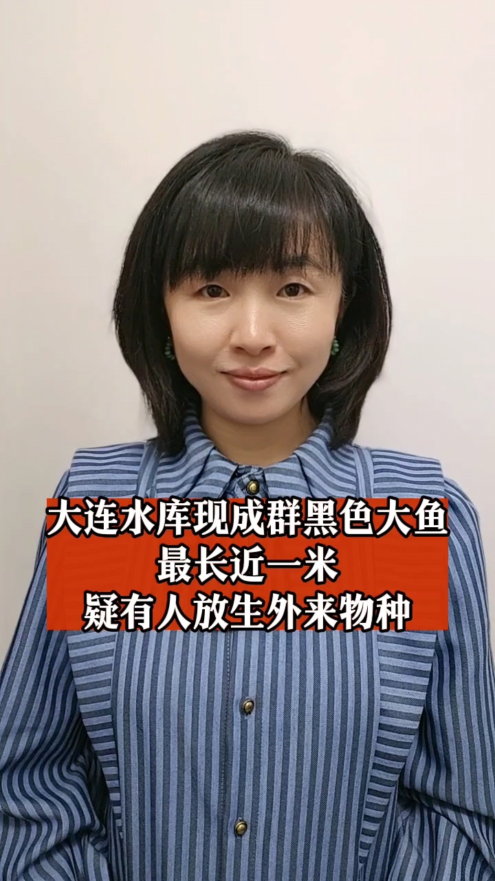 大连西山水库出现成群黑色大鱼,最长近一米!疑有人放生外来物种