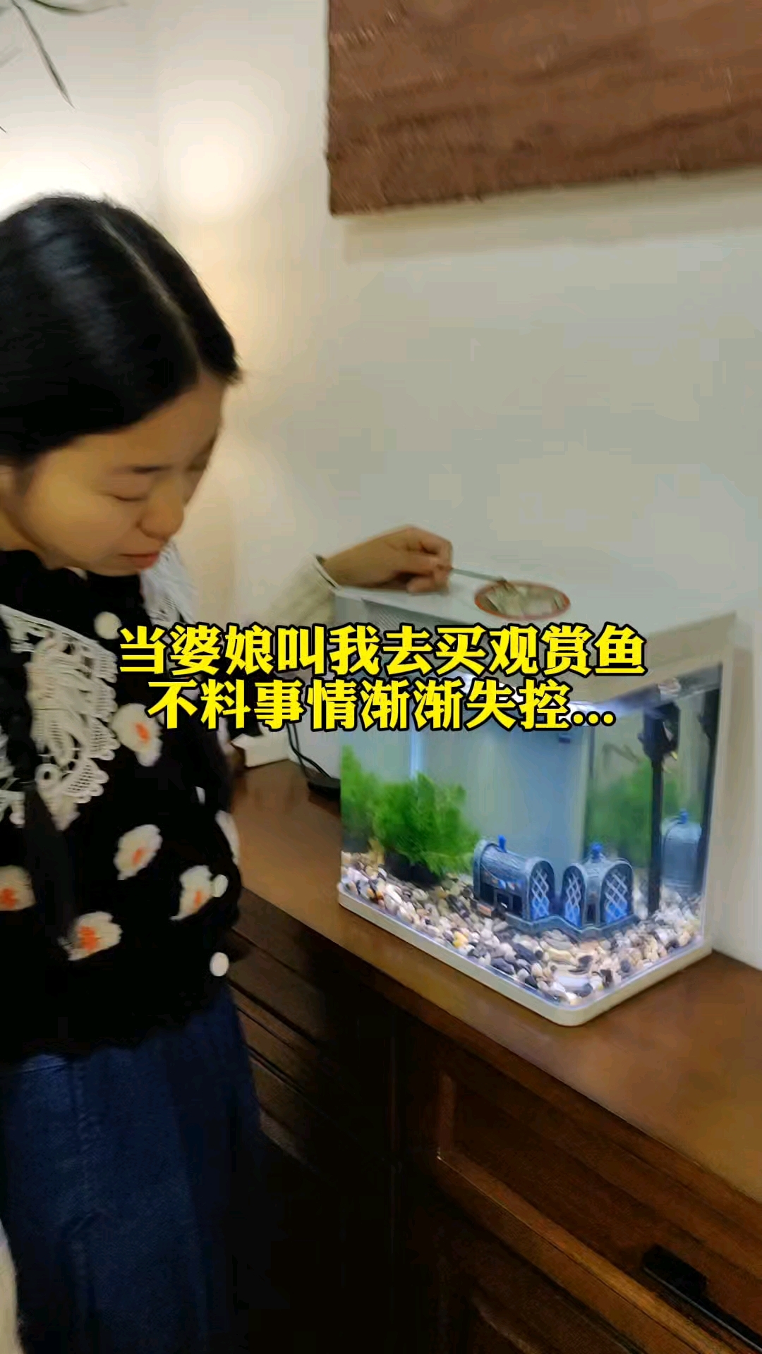 当婆娘叫我去买观赏鱼,不料事情渐渐失控