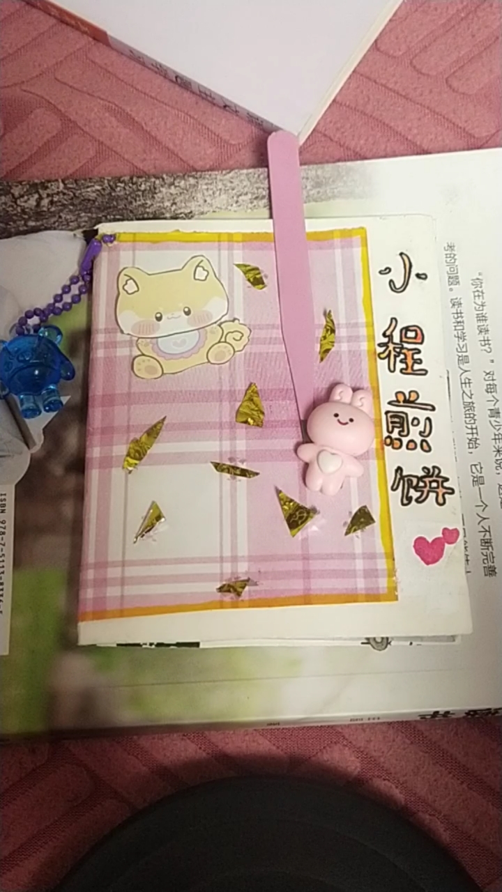 自制的煎饼豆豆本
