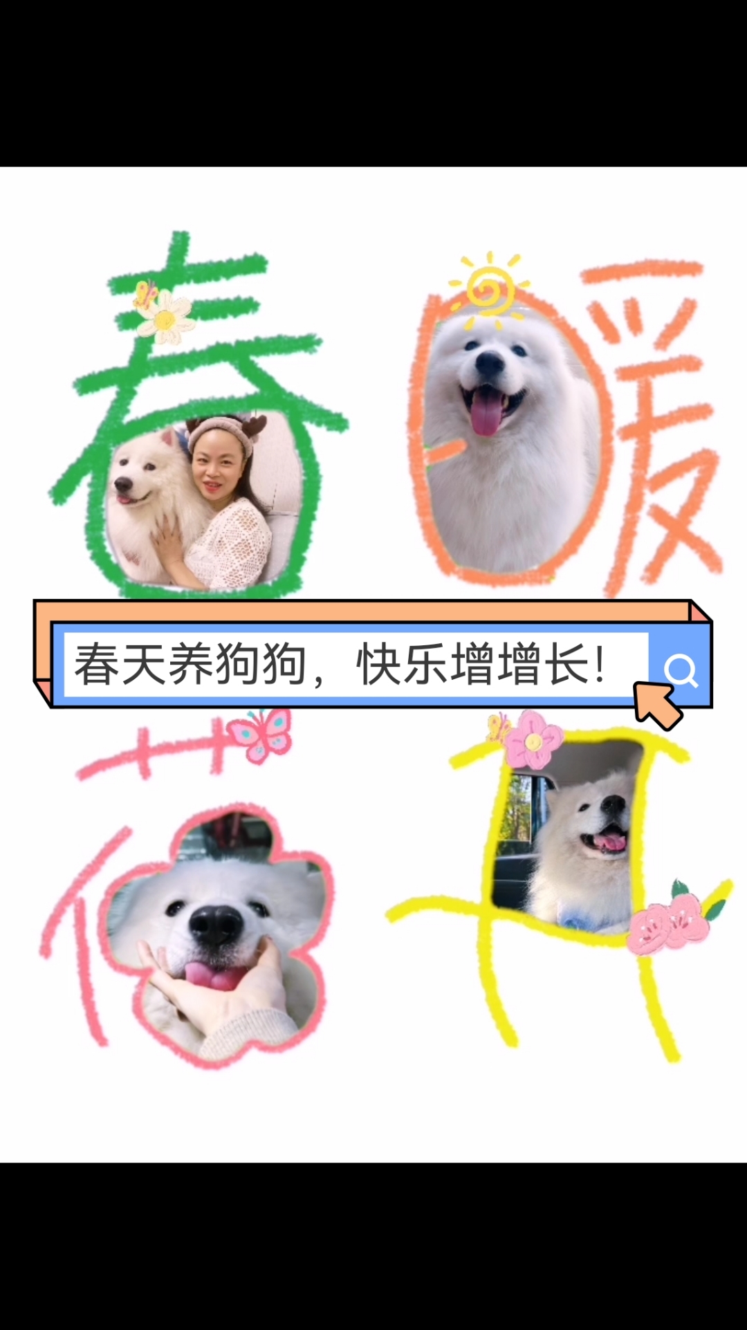 萨摩耶与主人春日出游,每一帧都是壁纸!春眠不觉晓,狗狗在微笑
