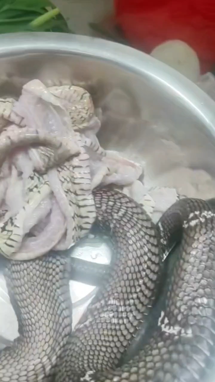 龙凤汤做法 椒盐蛇做法 口味蛇做法 姜辣蛇做法