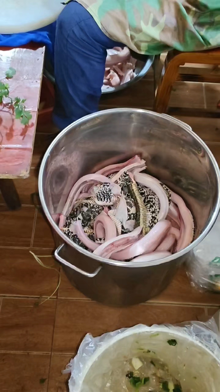 蛇肉做法