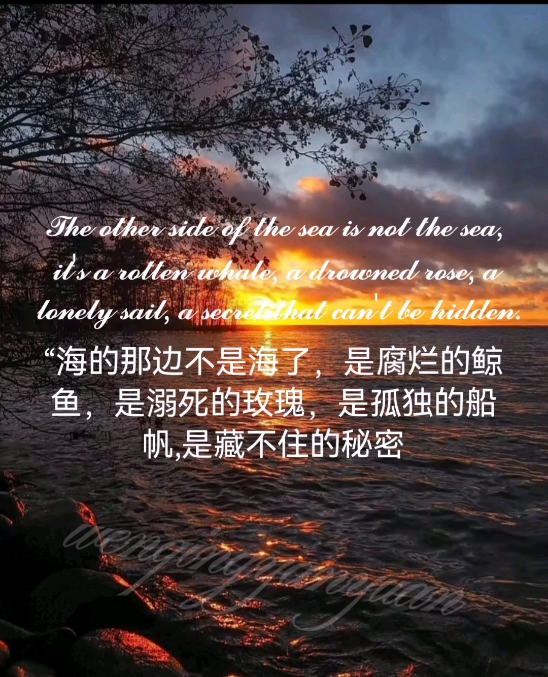 分享一下文案啦～