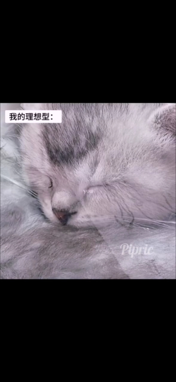 萌我一大跳想干嘛！#头像# #彭昱畅# #小猫# #萌#