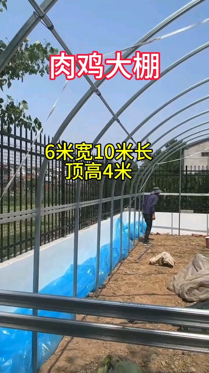 肉鸡大棚,顶高4米,6米宽  10米长,淮安涟水#鸡棚
