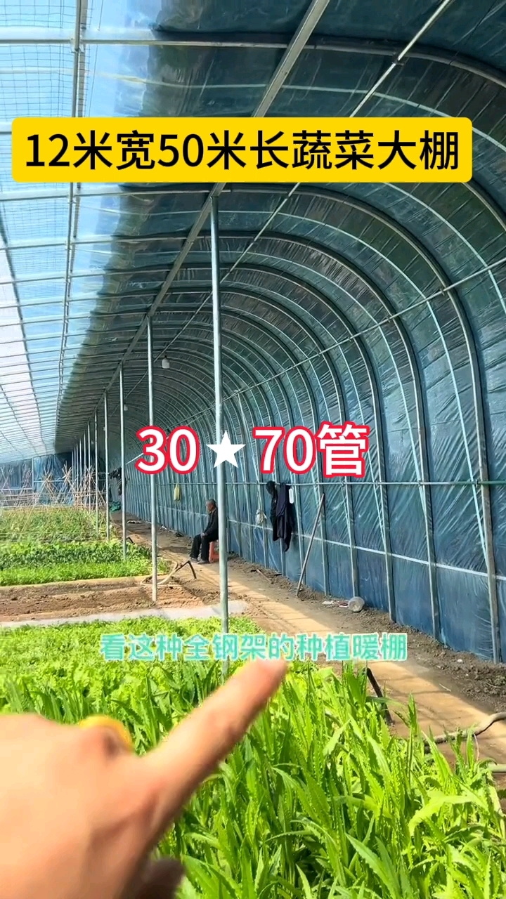 蔬菜大棚视频#蔬菜大棚