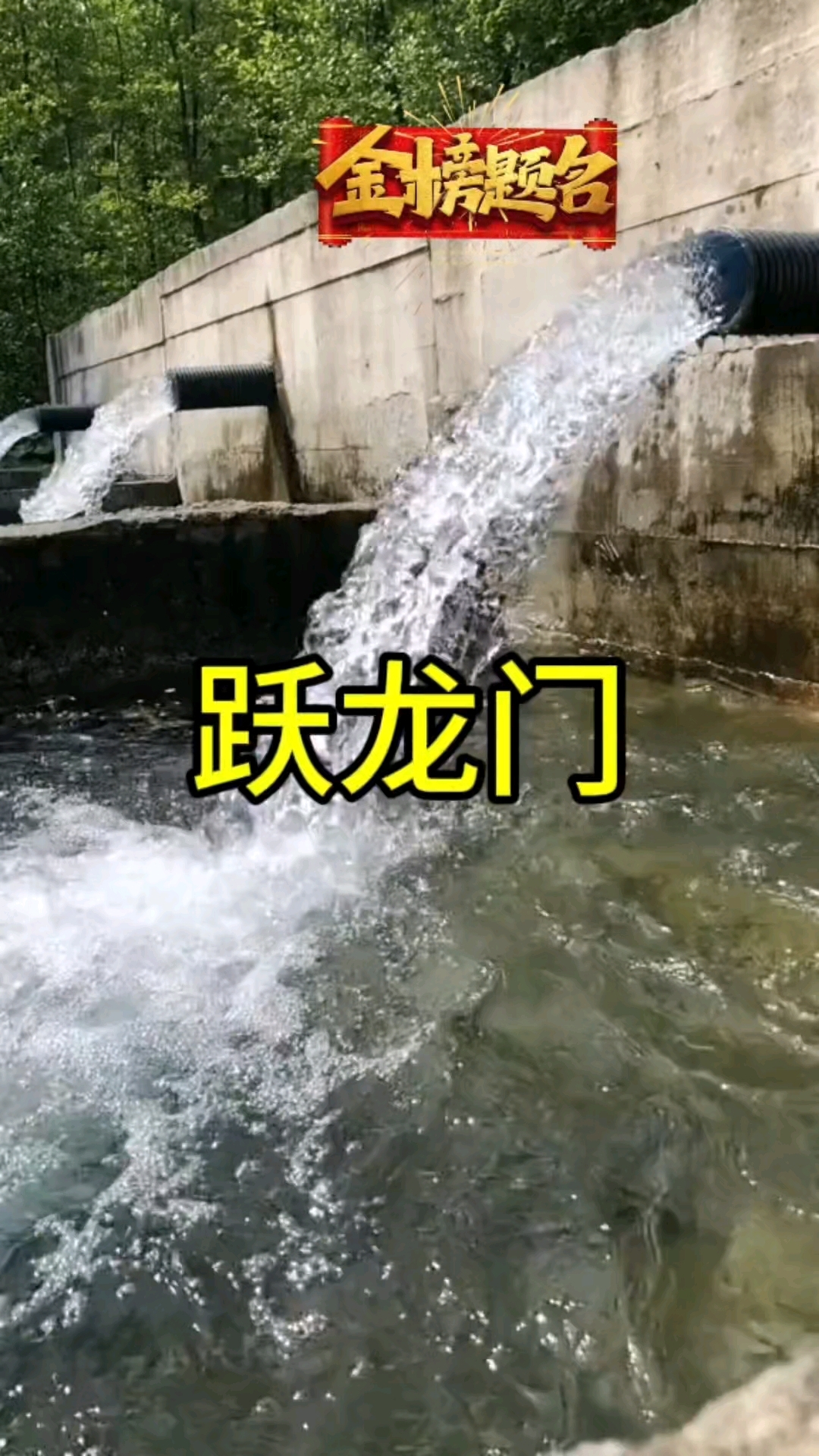 鲤鱼跃龙门,金榜题名时