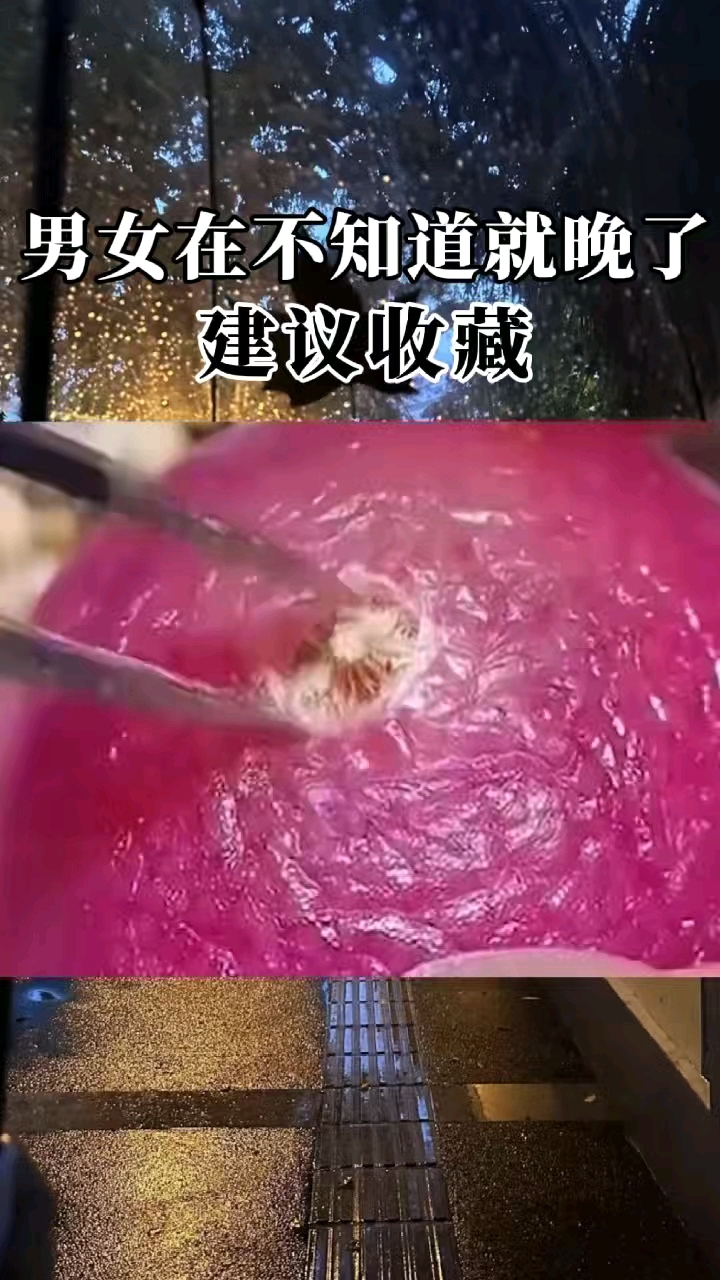 分享视频