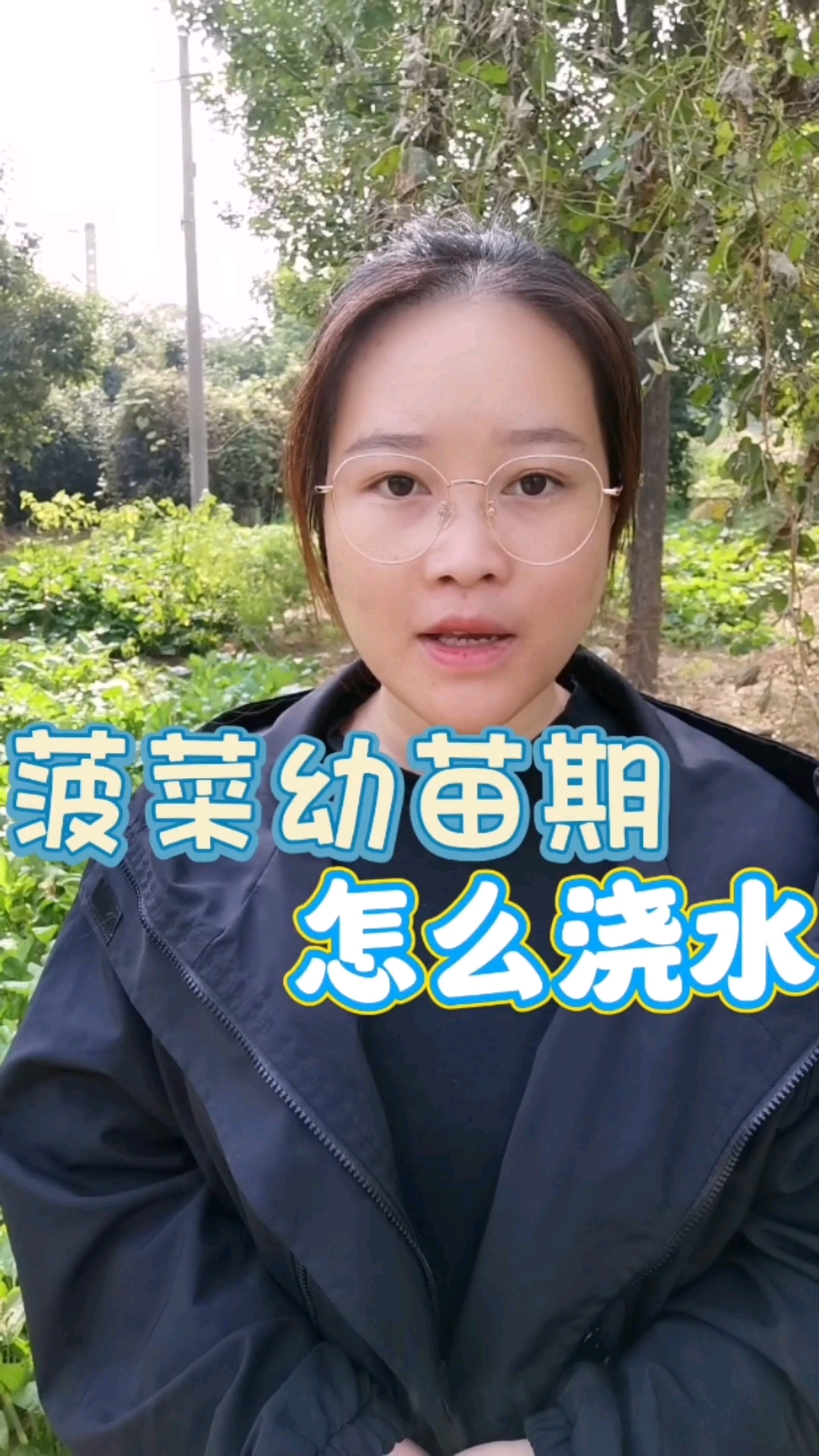 菠菜幼苗期怎么浇水