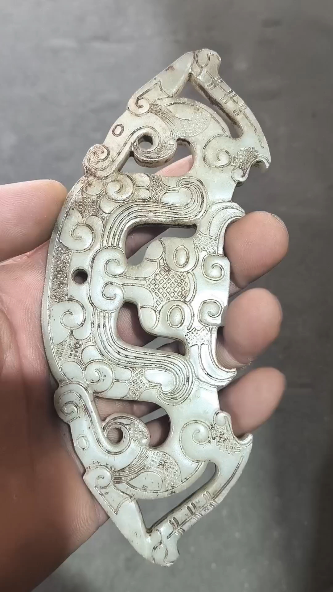 捕鱼时被网挂上来的