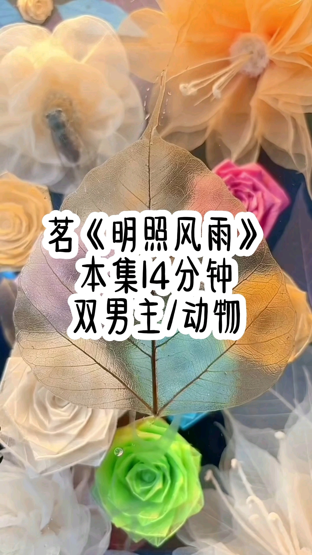#双男主 可怜兔兔被猎豹盯上了
