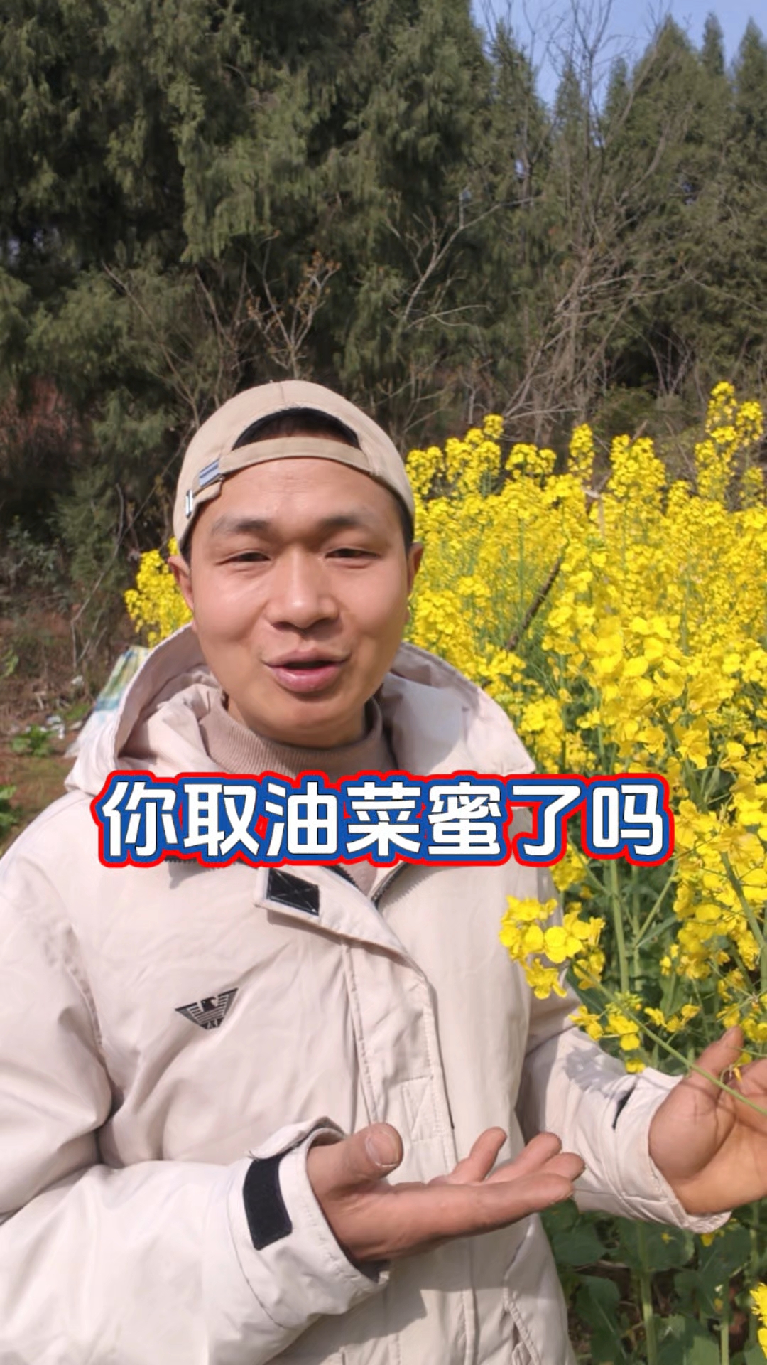 油菜花流蜜有多猛,可以取几次油菜蜜