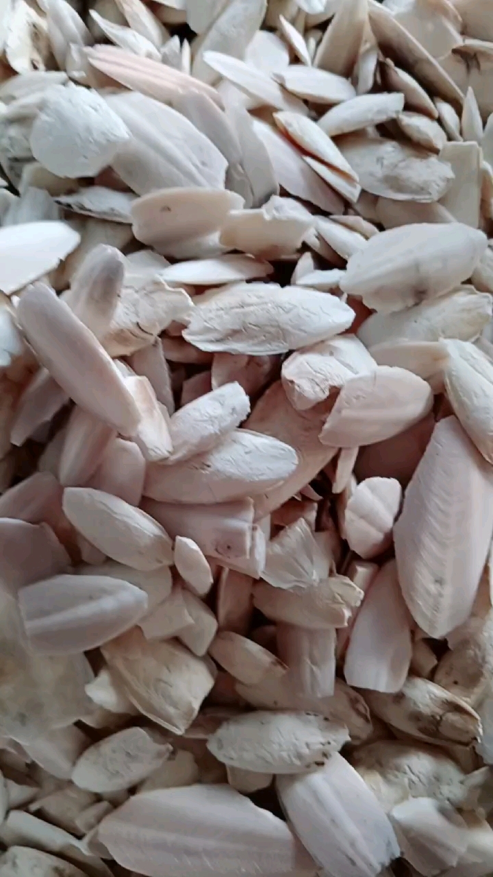 鱿鱼骨。止血的作用