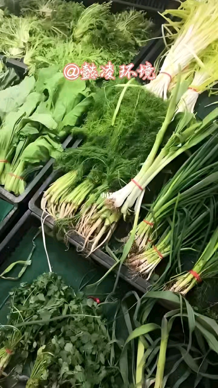 蔬果保鲜加湿器#超市蔬菜加湿器
