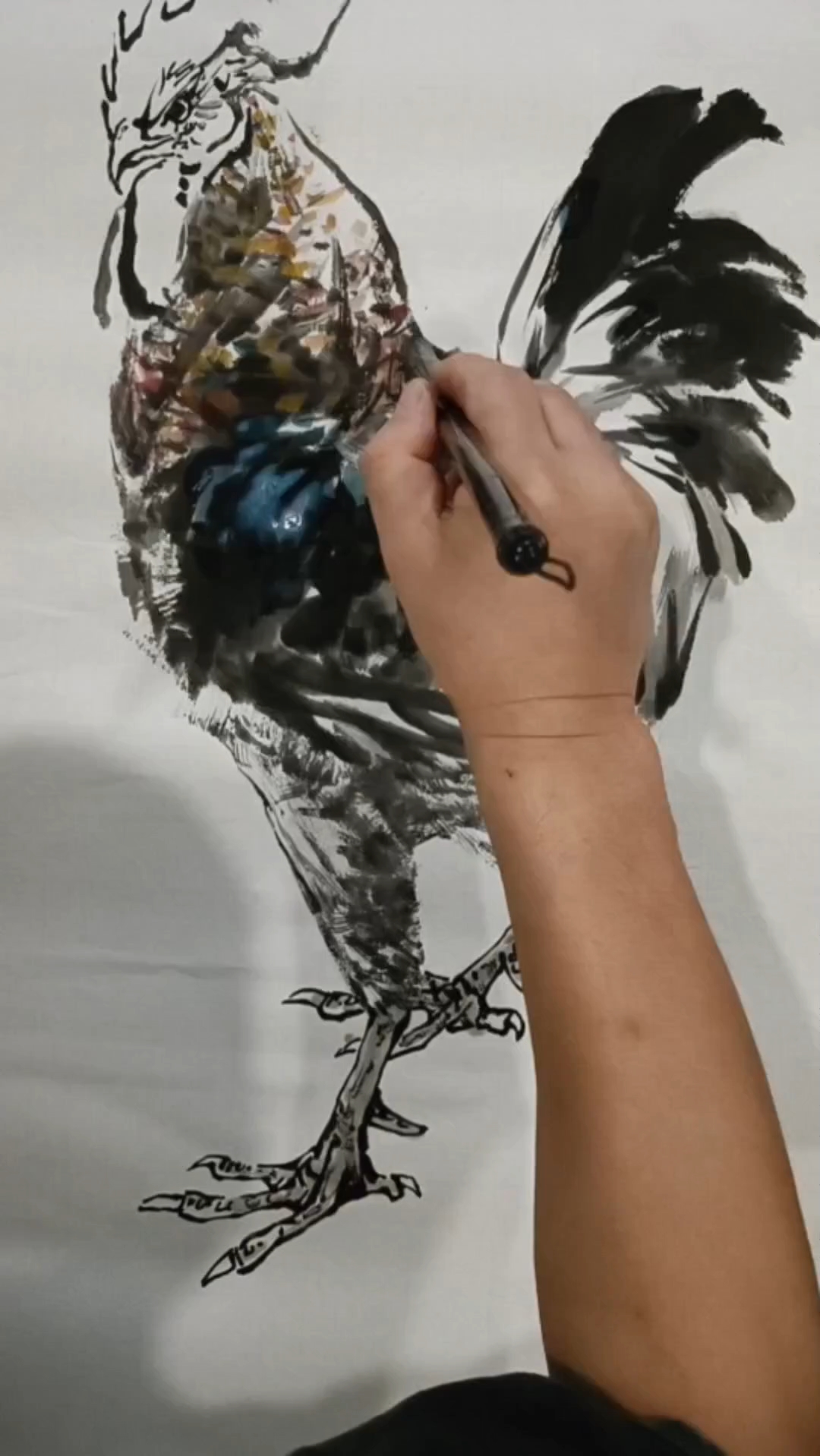 画鸡名家彭凯绘画视频