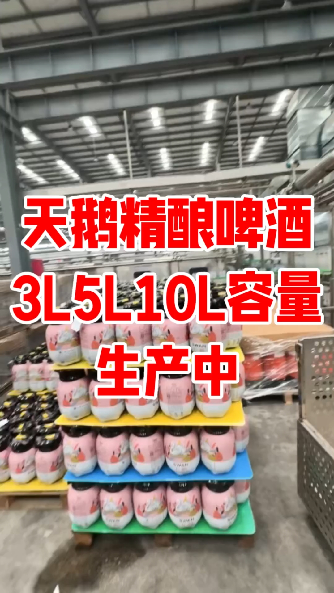 巴宝莉啤酒厂天鹅啤酒3L5L10L生产中