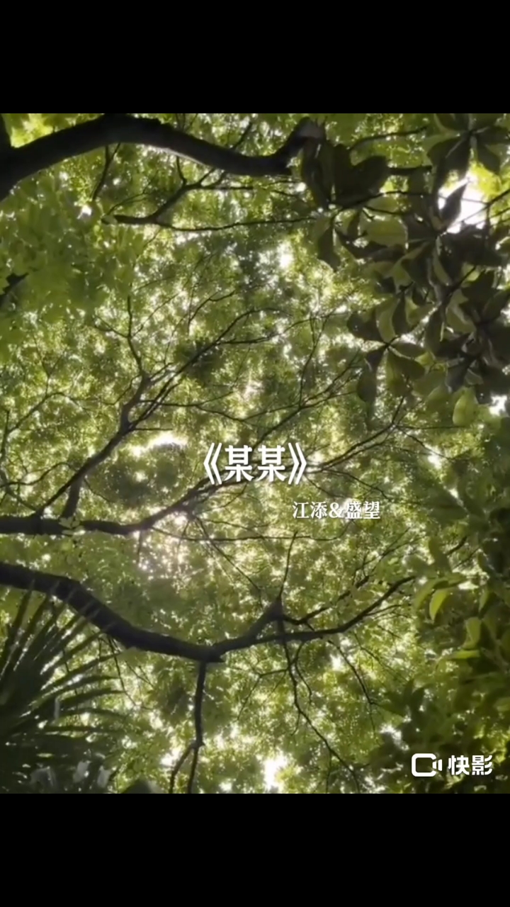 某某#江添&盛望