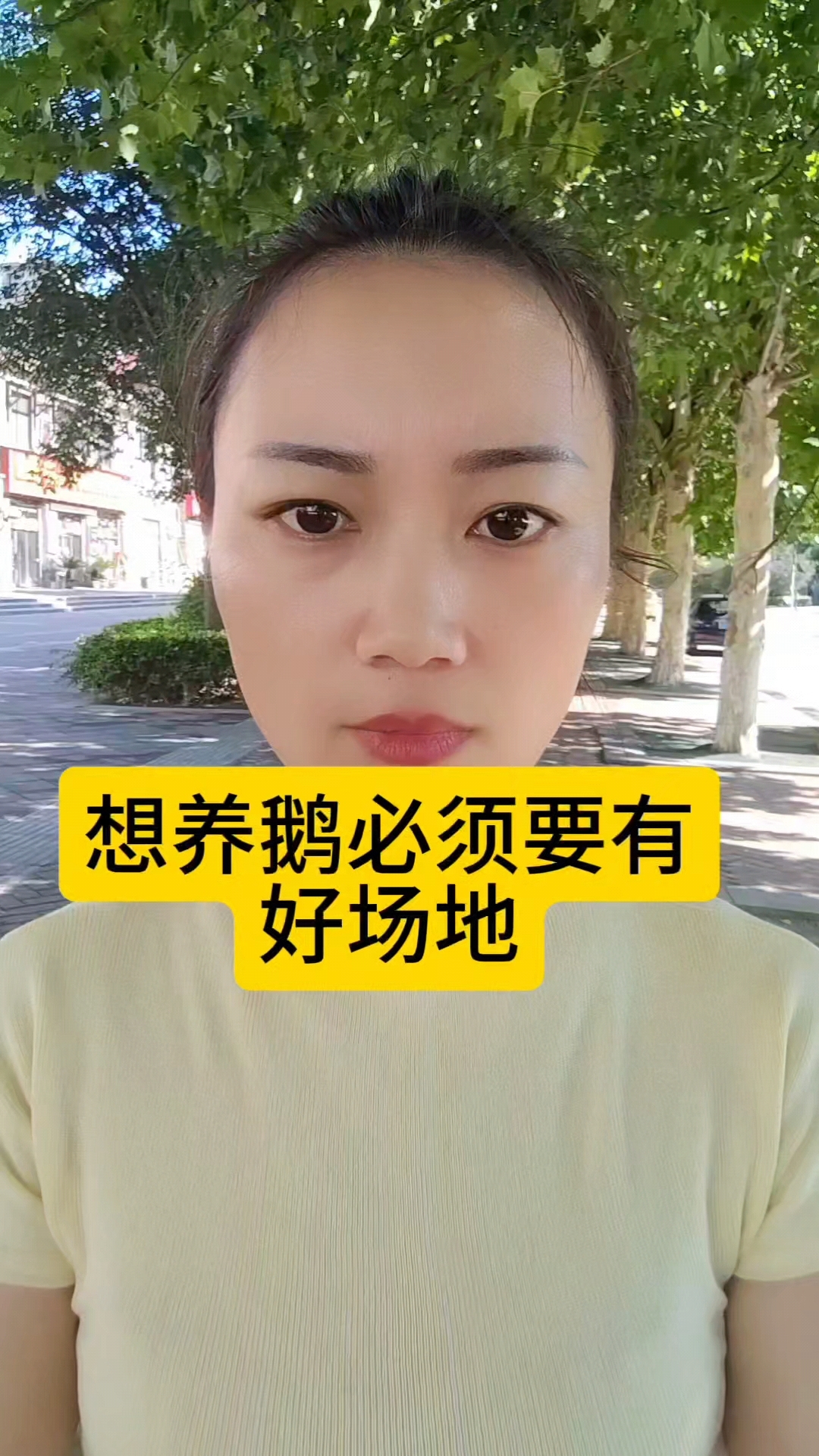 养鹅必须要有好的场地