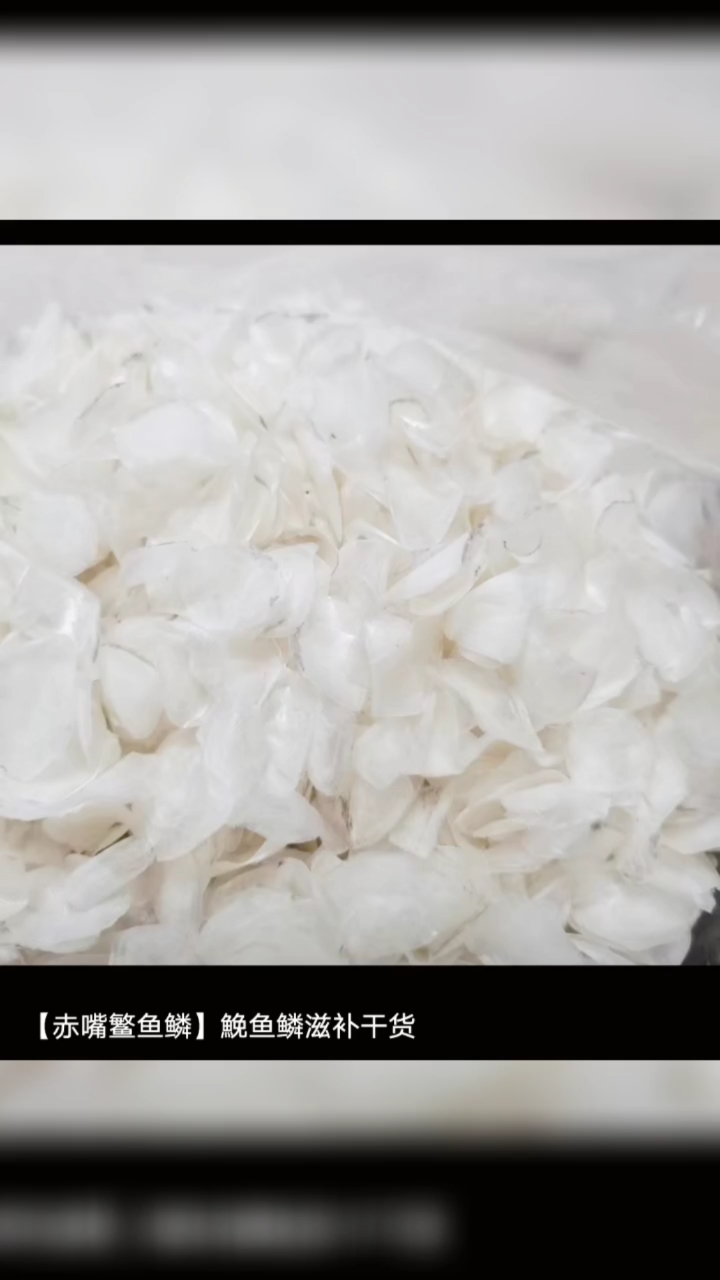 赤嘴鱼鳞松研发成功,营养价值百度更知,