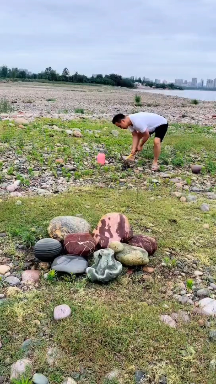 可有齐白石老先生的虾趣图缩影?