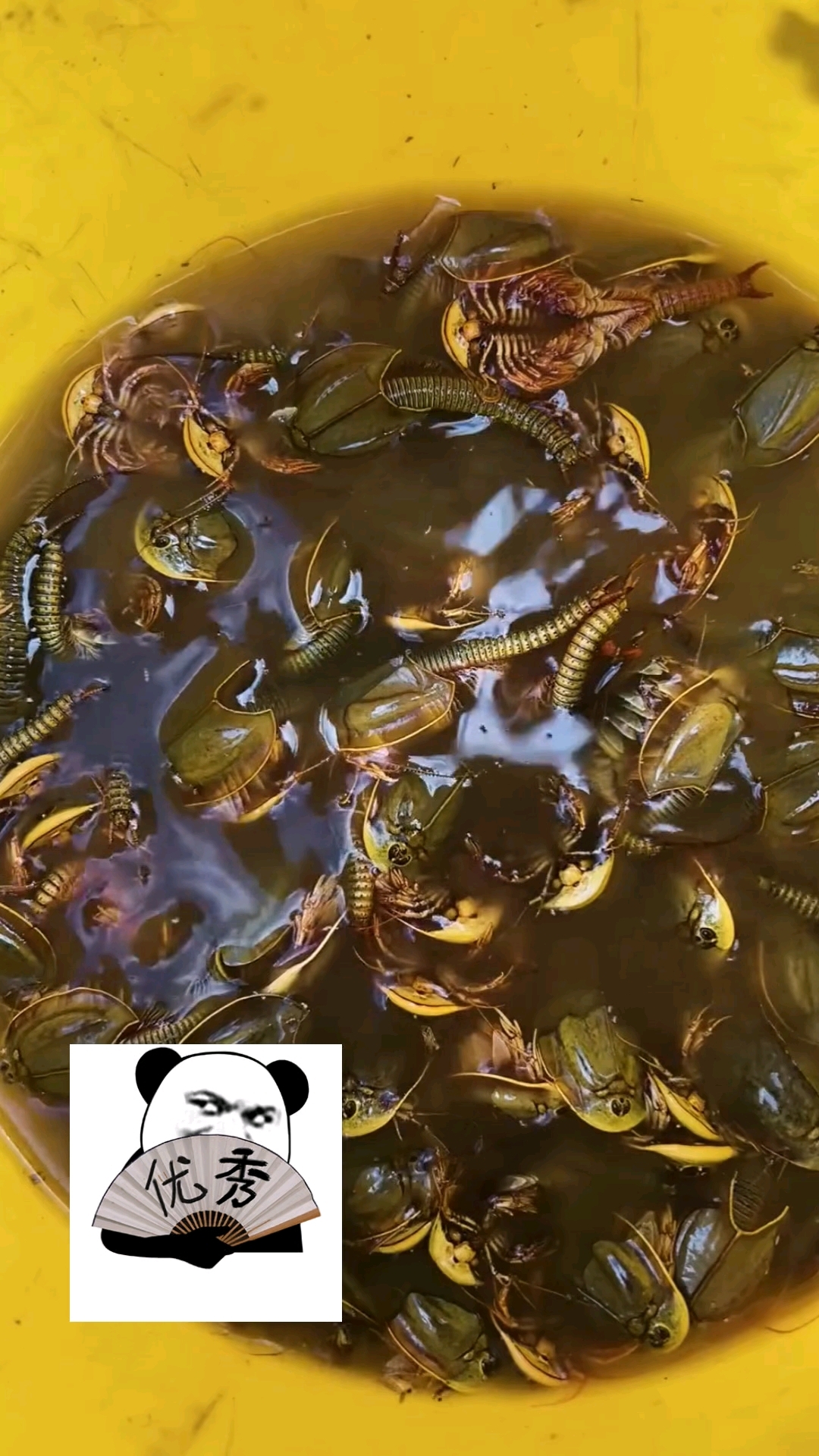 分享视频