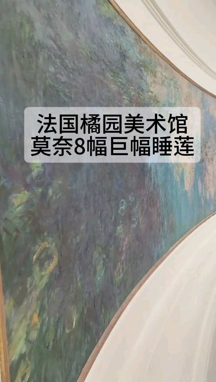 法国橘园美术馆的莫奈睡莲#莫奈睡莲#荷莲艺术家代建红