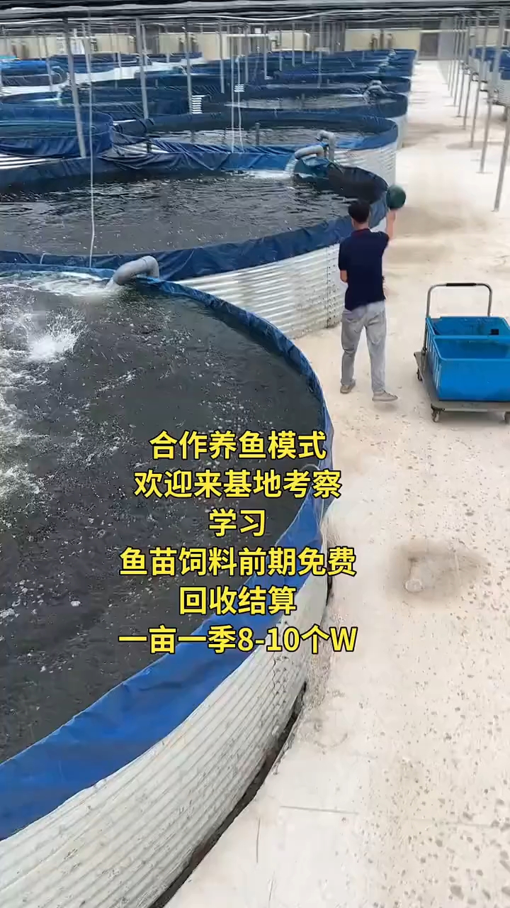 高密度水产养殖鱼池桶