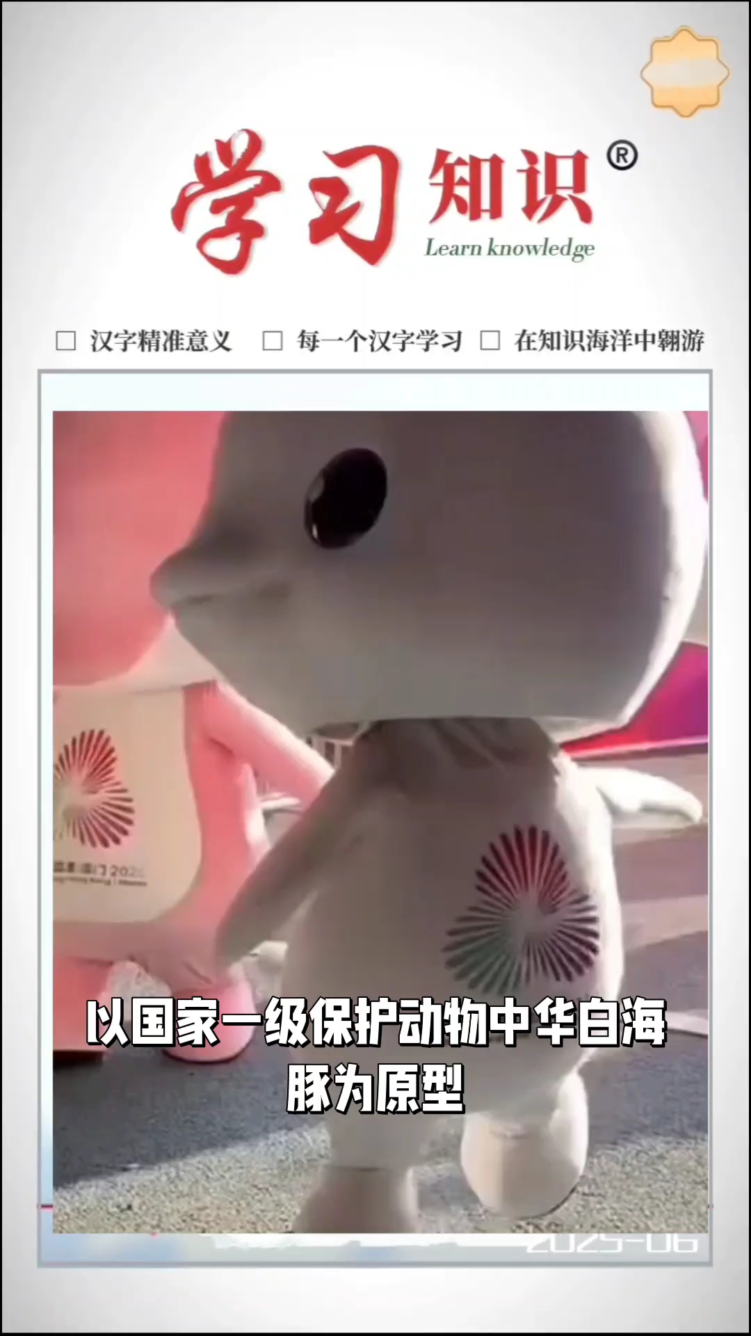 怎么看都是《唐老鸭与米老鼠》中的小鸭子