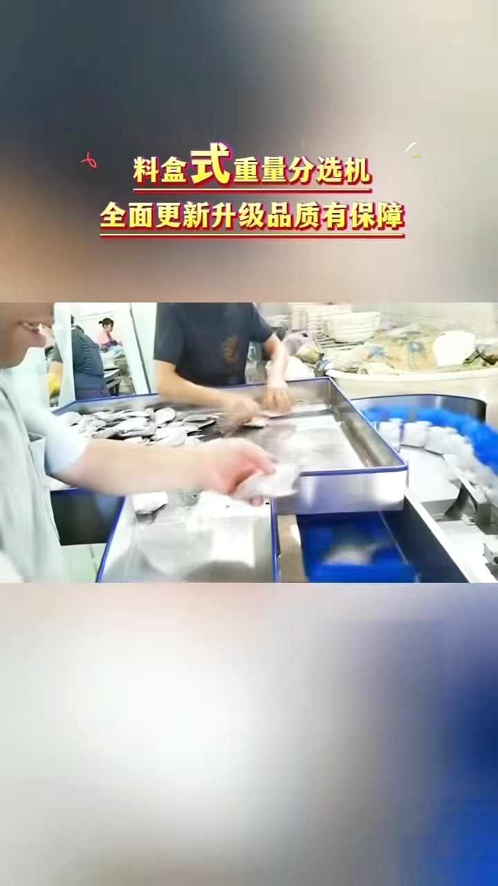 鲳鱼分选机客户现场#黄花鱼分选机#凤爪分选机 #山药苗分选机
