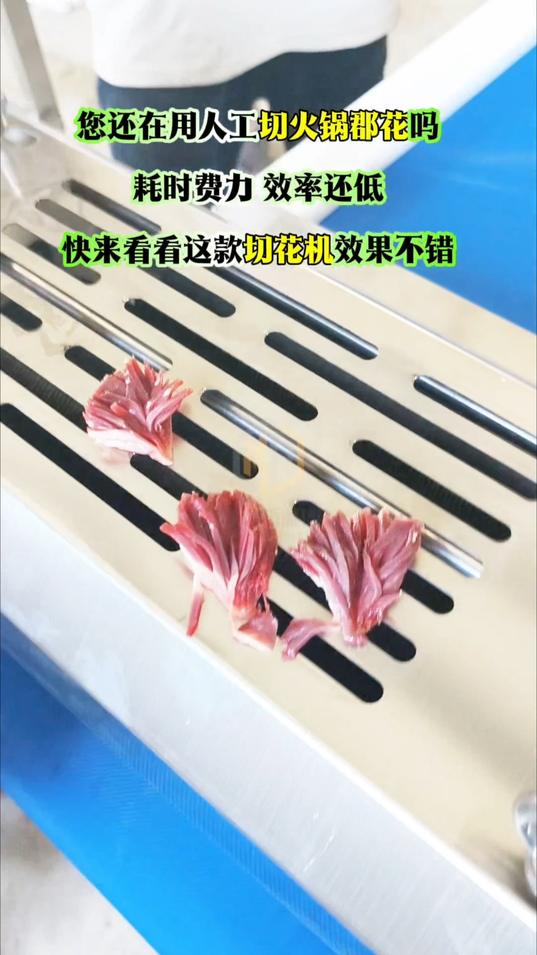 扇形鸭胗花切花效果不错#火锅郡肝花切花机#切郡肝花教程 