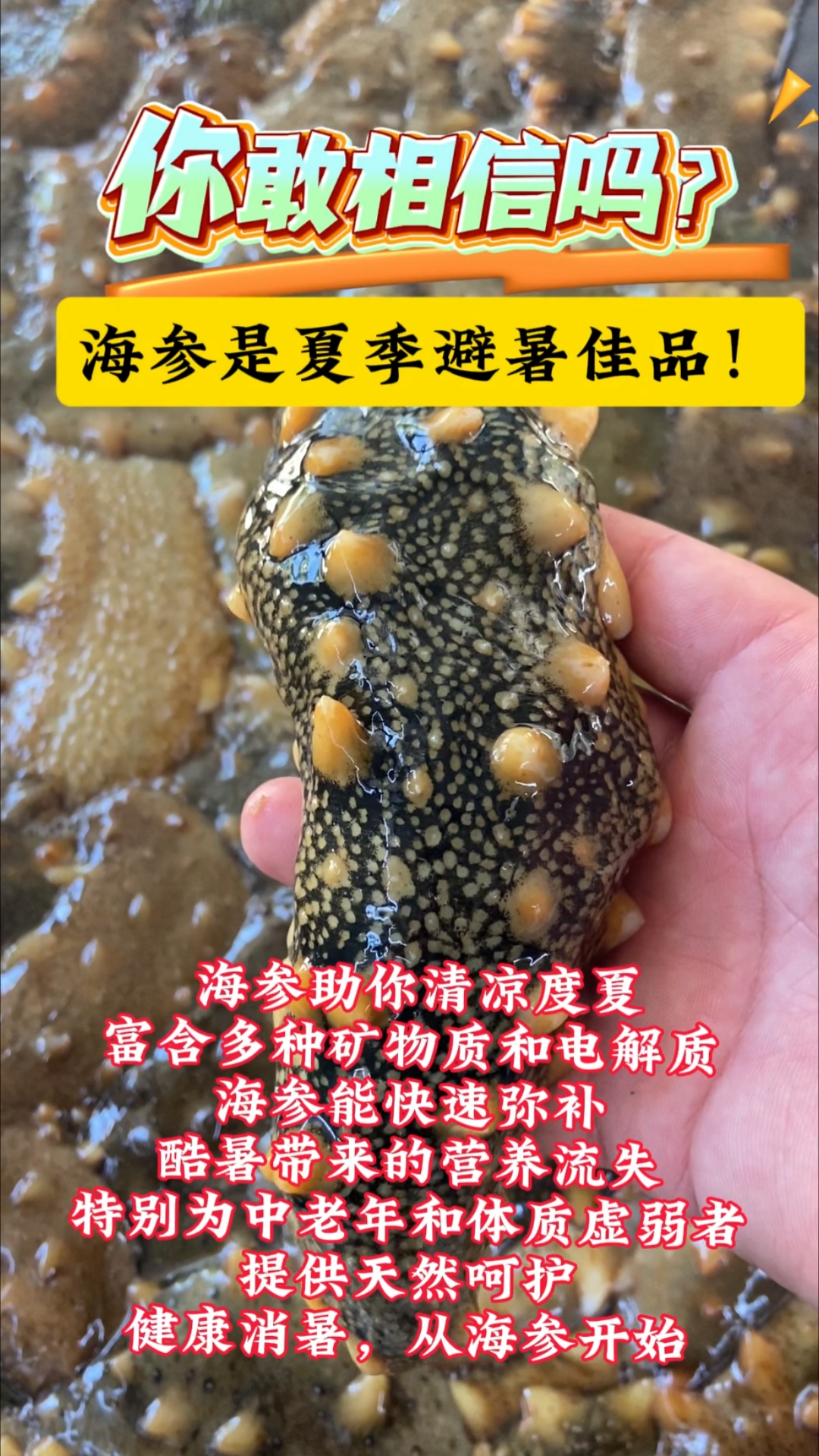 酷暑天气,给家人来一碗海参鸡蛋糕。#海参  #大连海参  