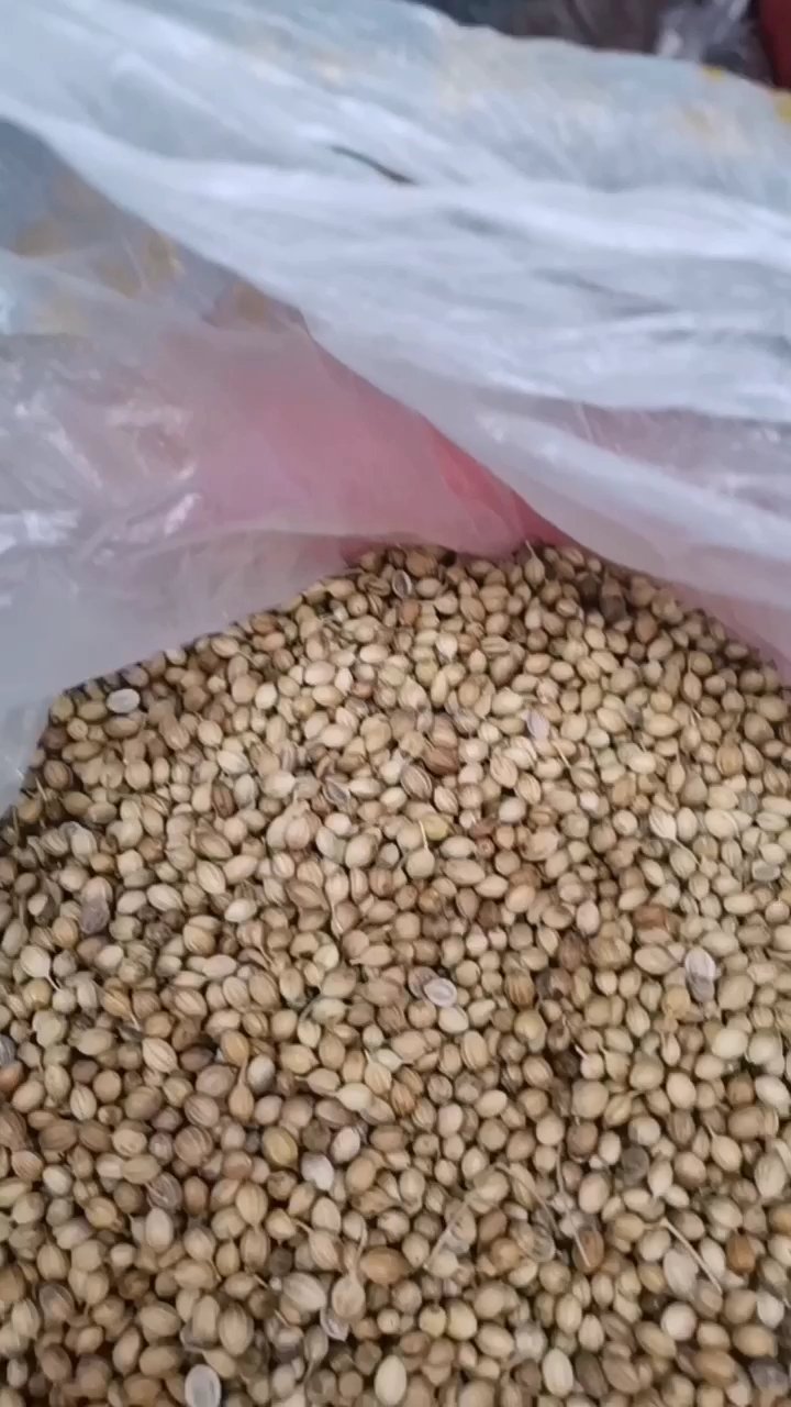 **香菜籽:汤中的清香秘密