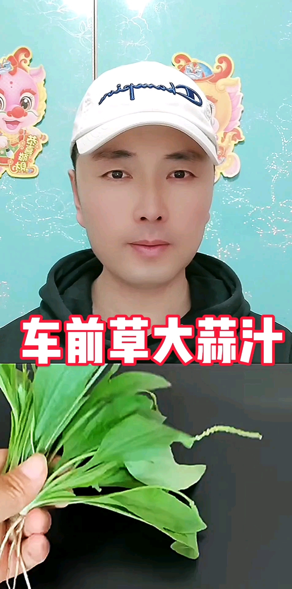 车前草大蒜汁,好处太多了