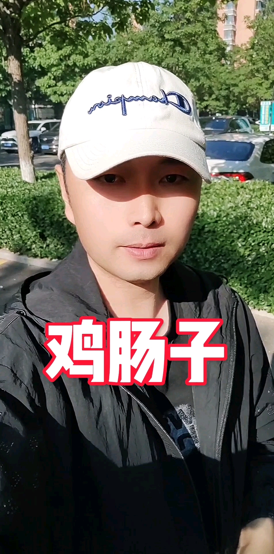 鸡肠子的妙用