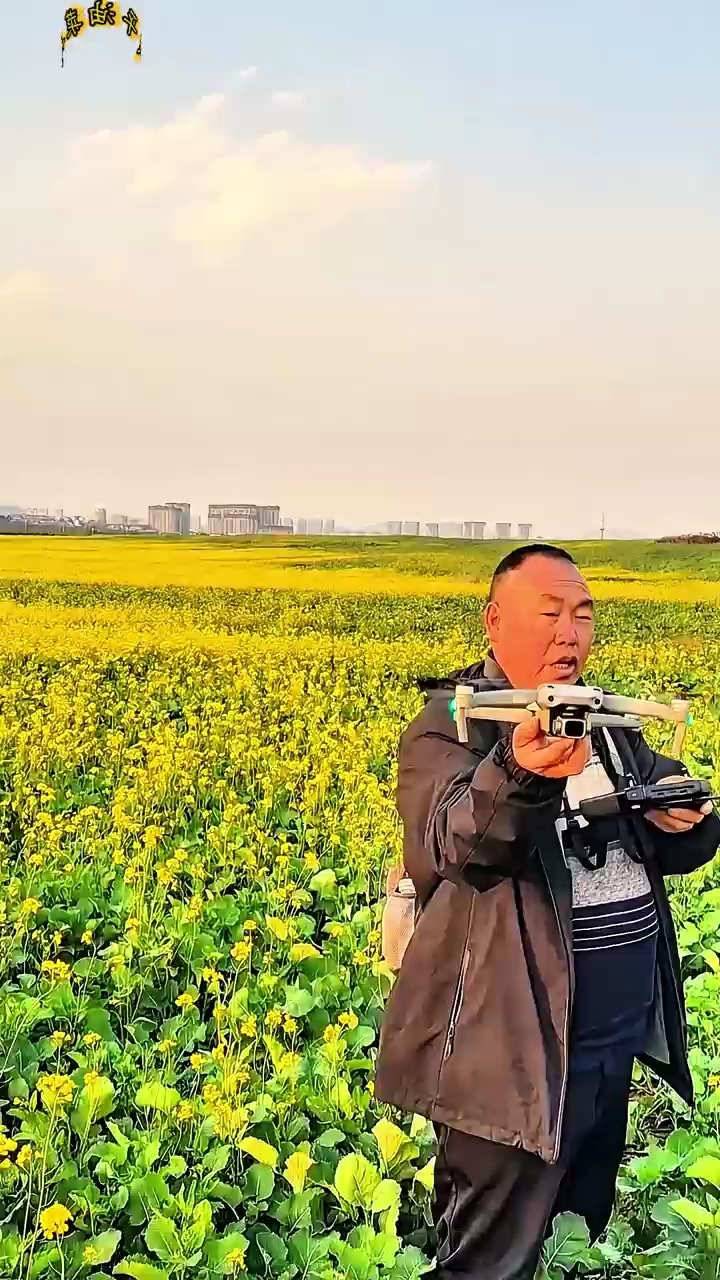 2025年2月16号实拍罗平油菜花开最新版