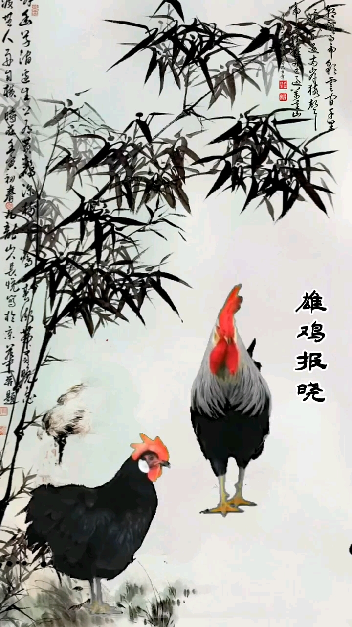 金鸡报晓