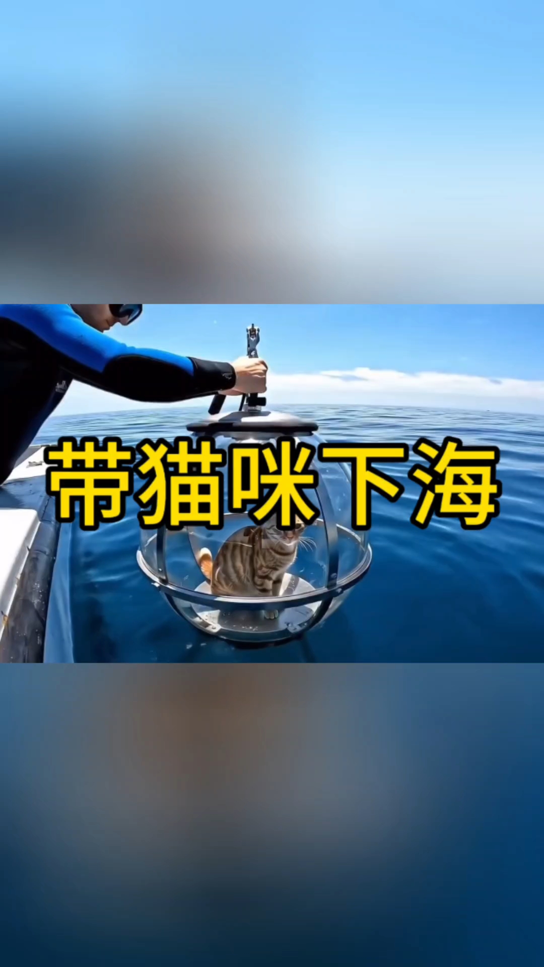 这猫咪真幸福,还能到海底去玩