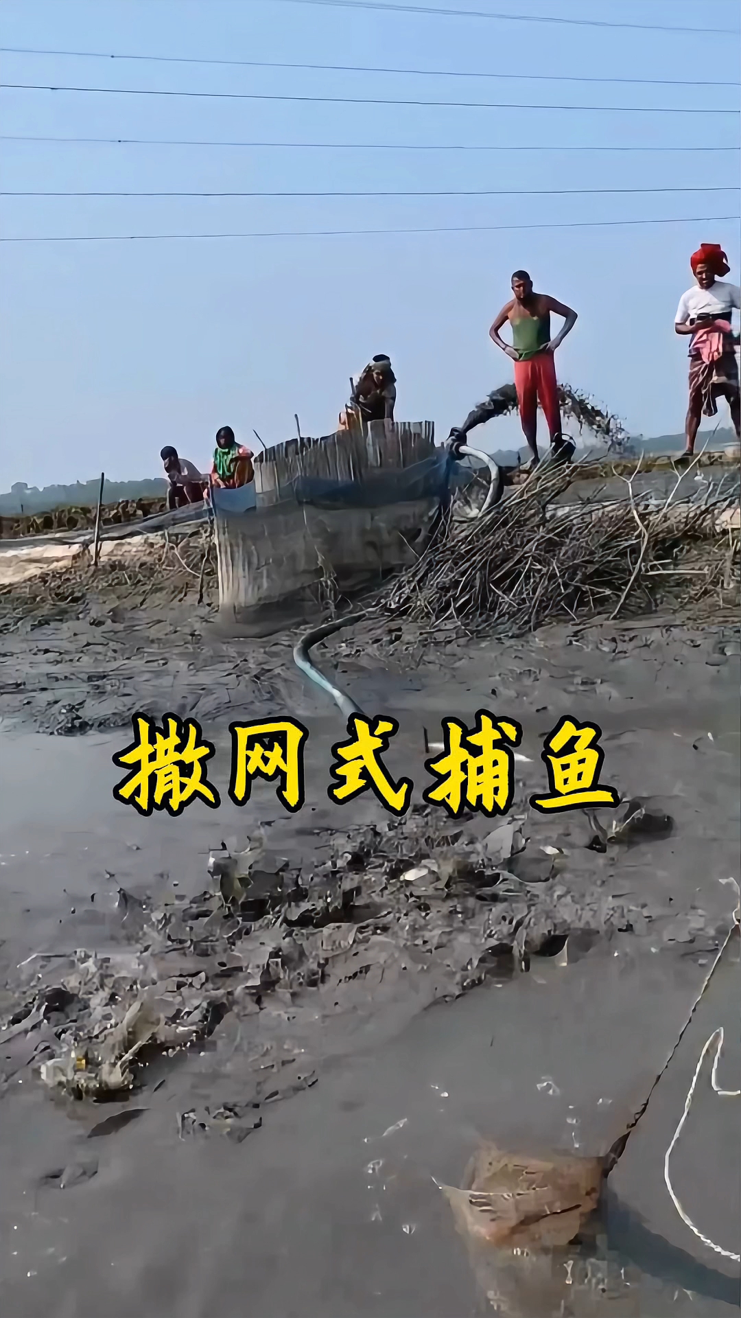 渔民在淤泥之中撒网捕鱼!