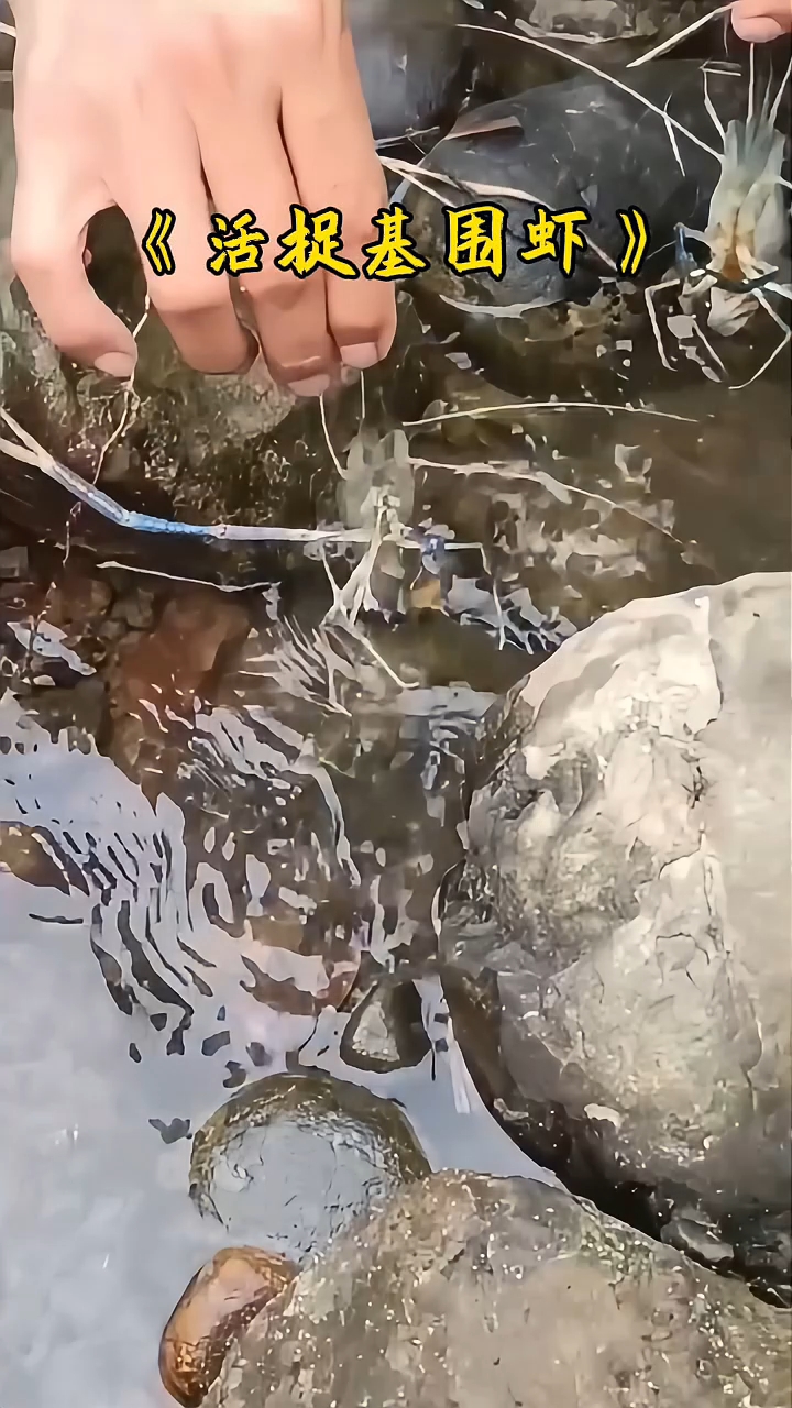 奇特的捕虾方式让人大开眼界！