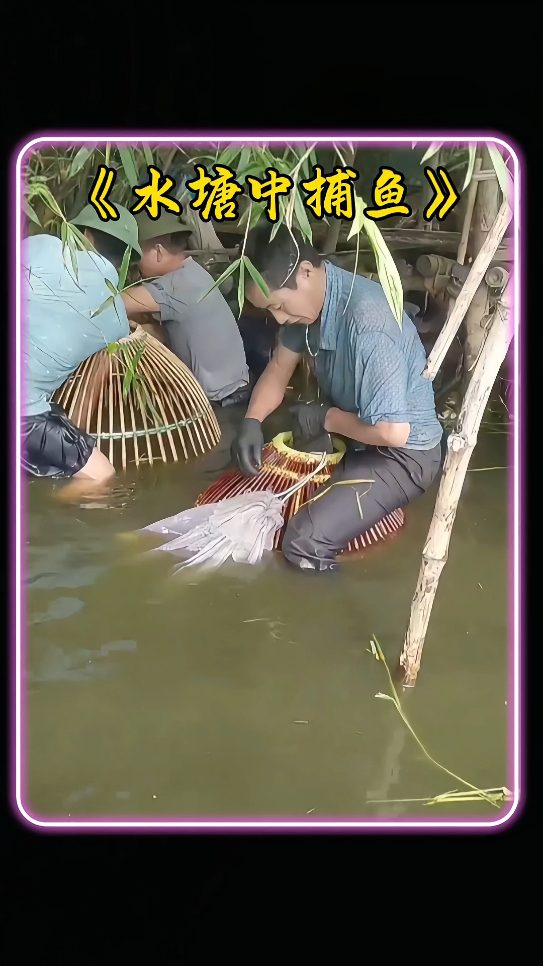 十年难得一见的捕鱼画面！